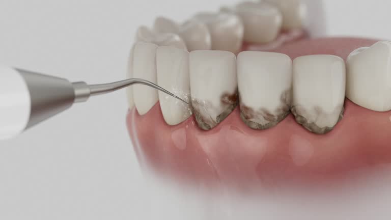 Reliable Dental contractor in Prien, LA by Dentist Open Now